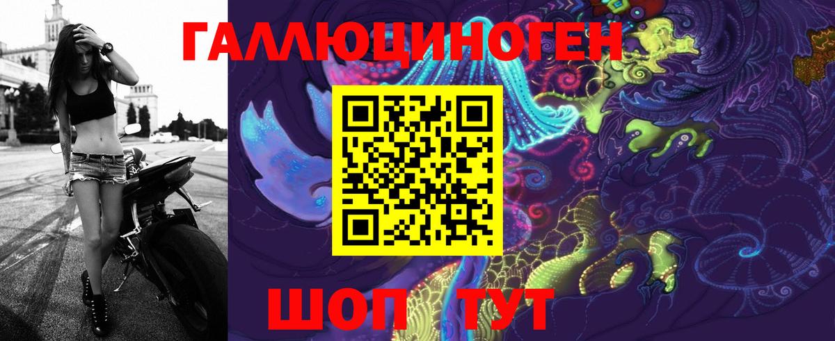 Галлюциногенные грибы Psilocybine cubensis  Вход с VPN  Родники 